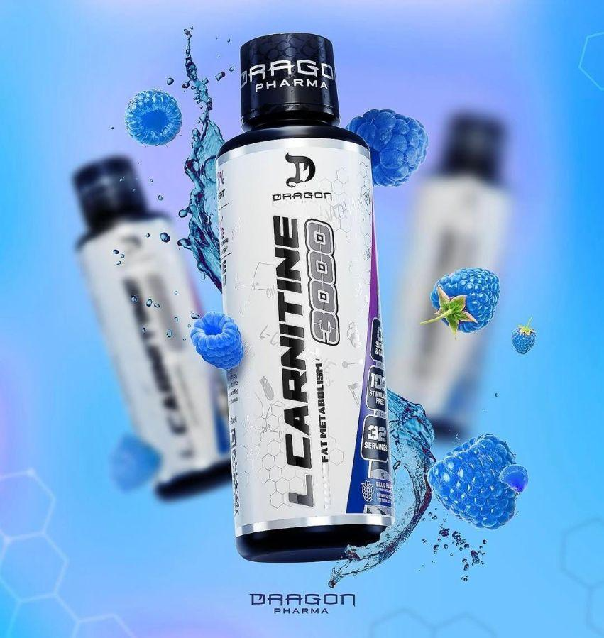 Dragon L-carnitina